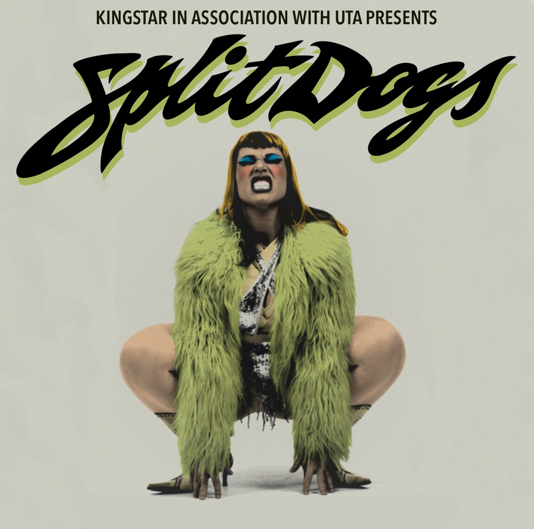 Foto - Event - Split Dogs